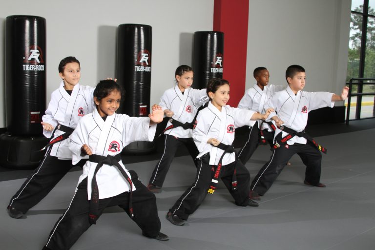 Midcounty TX Kids Martial Arts Training Program at TigerRock
